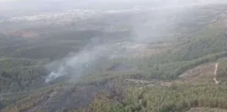 İzmir Buca'da Orman Yangını  