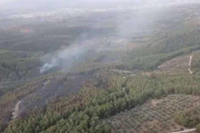 İzmir Buca'da Orman Yangını  