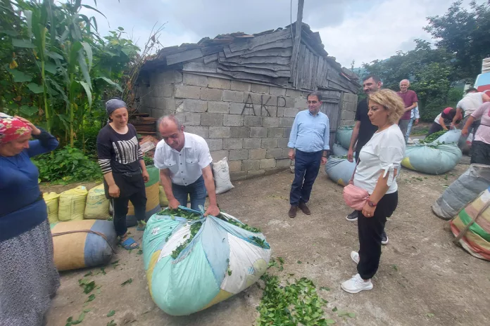 Emek Partisi, ÇAYKUR'un Kota Uygulamasını Eleştirdi