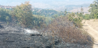 Amasya'da Yangın: Meyve Bahçeleri Kül Oldu