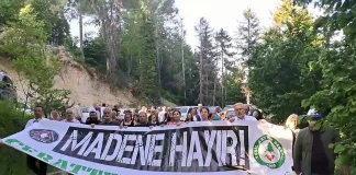 Artvin Valiliği, Cerattepe İçin Cengiz Holding'i Uyardı