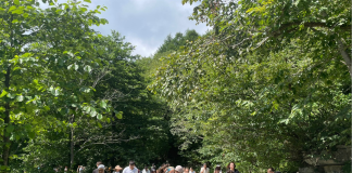 Borçka Çifte Köprü Turizm Projesi Protesto Edildi