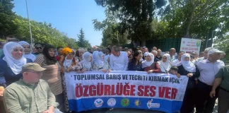 DEM Parti'den Gezi Tutsaklarına Ziyaret