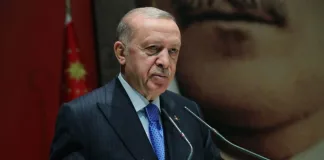 Erdoğan, Ahmet Şık'ı Suçladı: Provokatörlük Yapan Marjinal