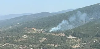 İzmir'in Kemalpaşa İlçesinde Orman Yangını