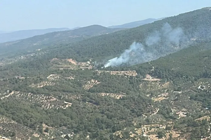 İzmir'in Kemalpaşa İlçesinde Orman Yangını