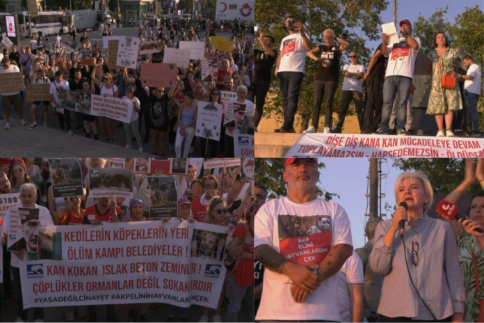 Kadıköy'de Eylem: Hayvanların Katline İzin Vermeyeceğiz