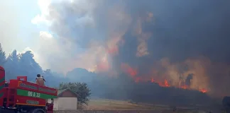 Kızılcahamam Alevlere Teslim Oldu, Yangın Bolu'ya Sıçradı