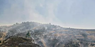 Manisa Gördes'teki Yangın Durdurulamadı