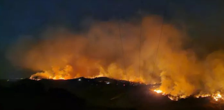 Manisa Yangını: Bin 440 Kişinin Tahliye Edildiği Duyuruldu