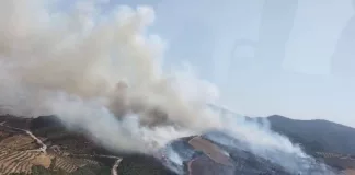 Manisa'da Orman Yangını