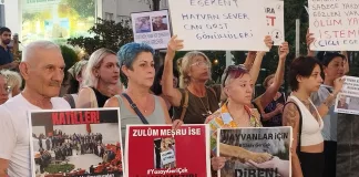 Manisa'daki Kedi Katliamı Protesto Edildi