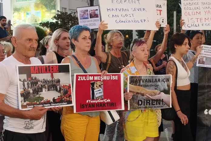 Manisa'daki Kedi Katliamı Protesto Edildi