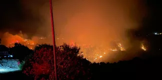 Muğla Milas'ta Çıkan Orman Yangınına Müdahale Devam Ediyor