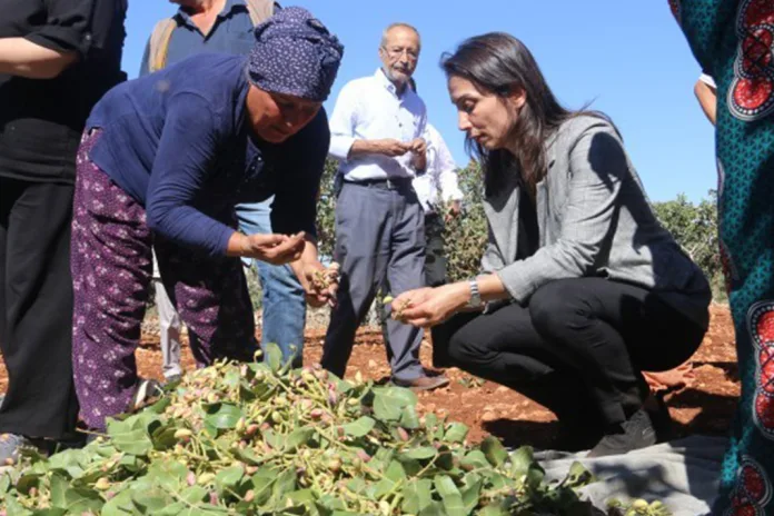 Ekmek ve Adalet Buluşmaları: Yeter ki Birleşelim!