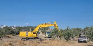 Hatay'da Arazi Gaspı Sürüyor: Bir Çiftçi Gözaltına Alındı