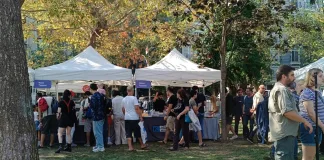 Kadıköy Çizgi Festivali Bugün Sona Erdi