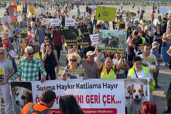 Yaşam Hakkı Savucuları Maltepe'de Mitingdeydi